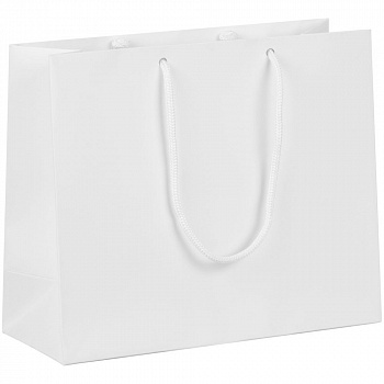 Пакет бумажный с ламинацией Lami Tote S