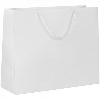 Пакет бумажный с ламинацией Lami Tote L